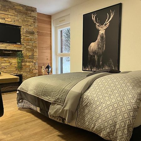 Studio Chalet Cosy Gérardmer Eksteriør billede