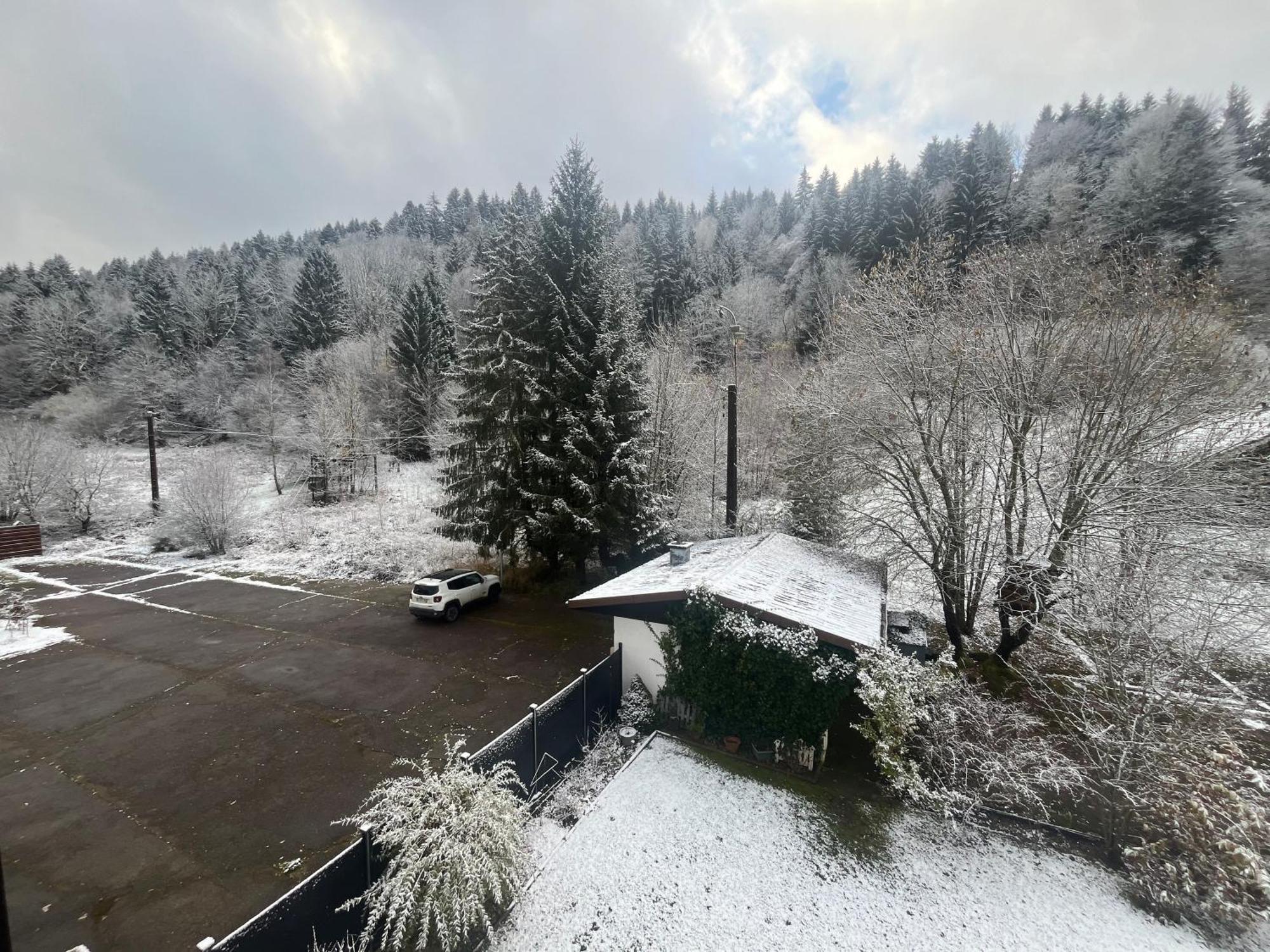 Studio Chalet Cosy Gérardmer Eksteriør billede